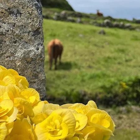 Vakantiehuis Nascer Do Sol Retreat