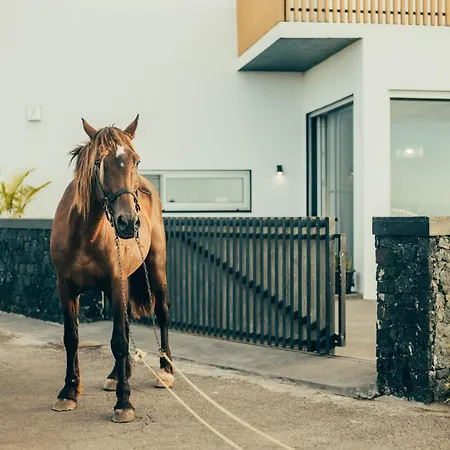 Vakantiehuis Nascer Do Sol Retreat